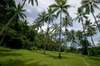 Amankila resort 